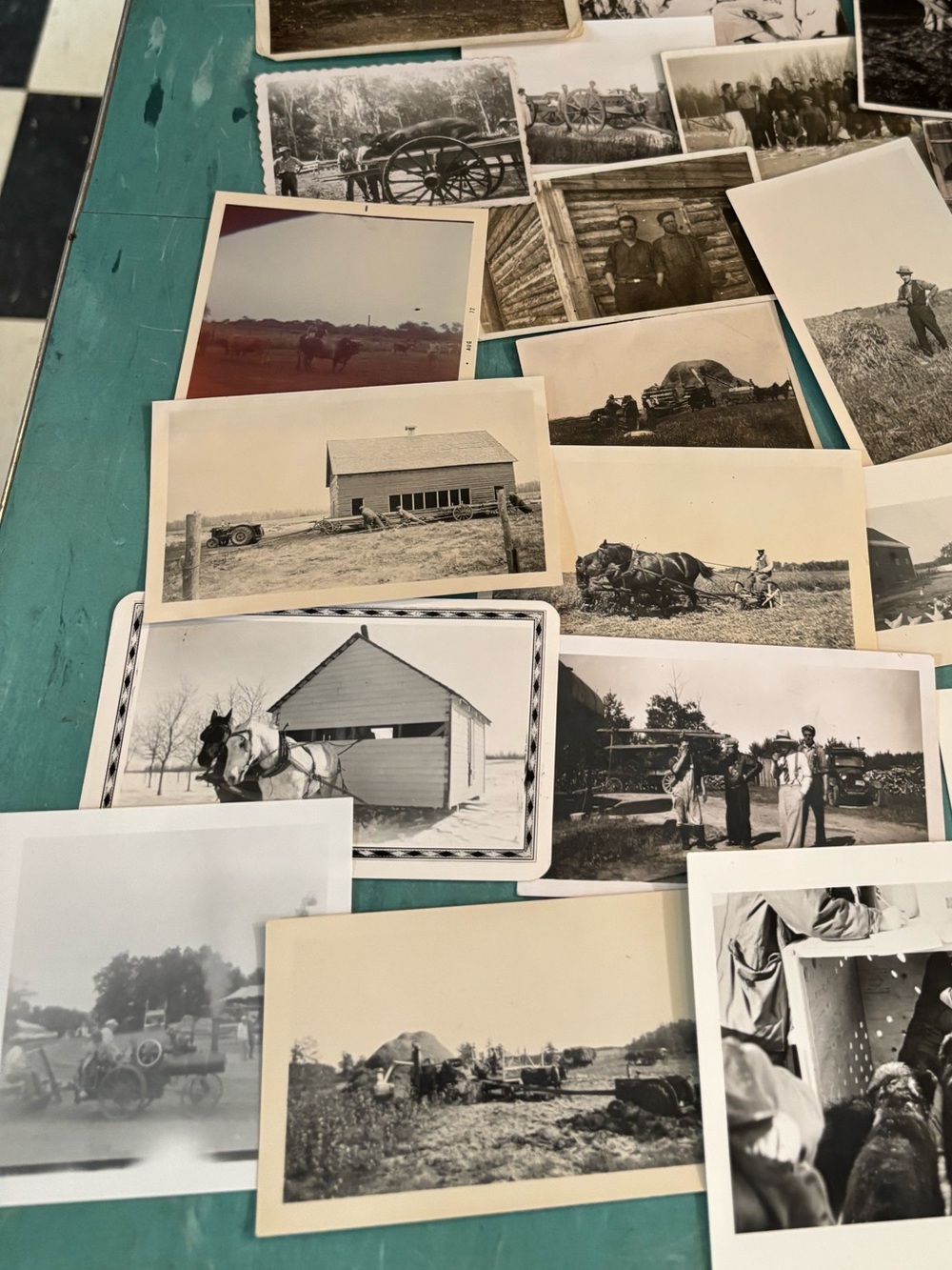 46 black white vintage farm photos animals farmers 1920’s - 1940’s ephemera - Picture 3 of 13